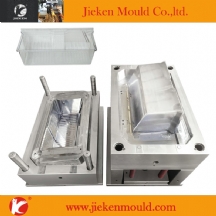 refigerator mould 01