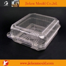 thin wallpackage mould 03