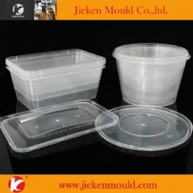 thin wallpackage mould 10